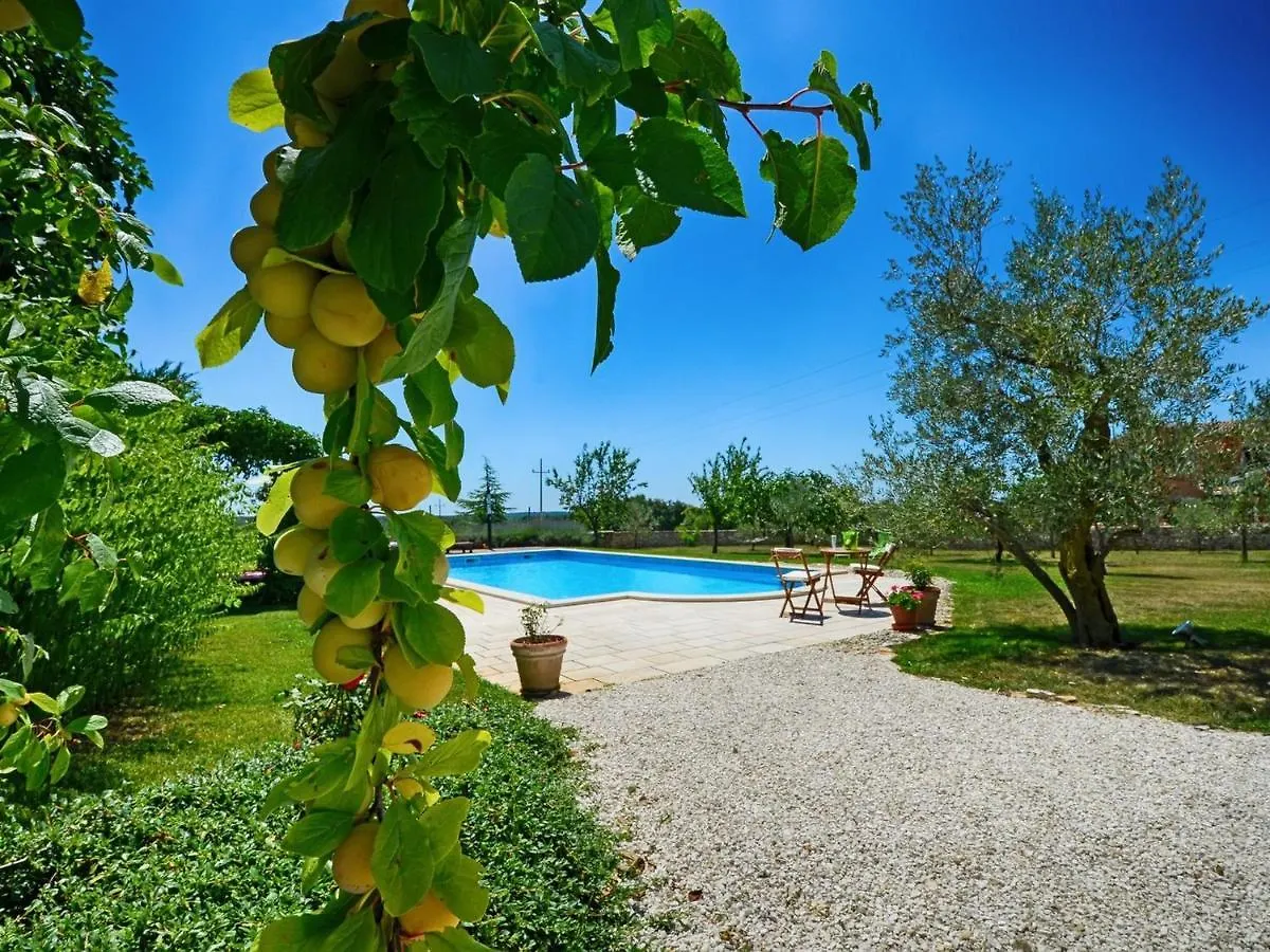 Villa Benka, Istrian Stone House Tinjan 0*,