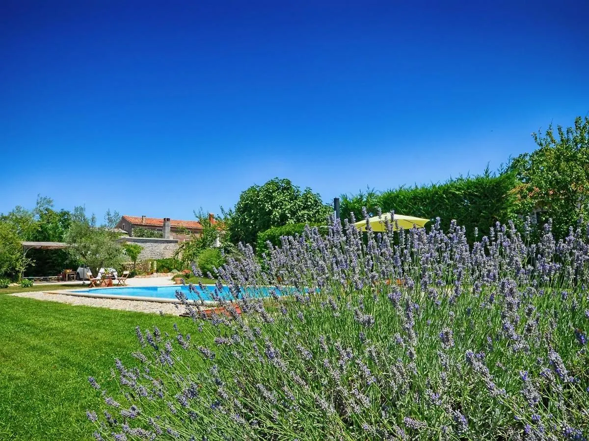 Villa Benka, Istrian Stone House Tinjan Croacia