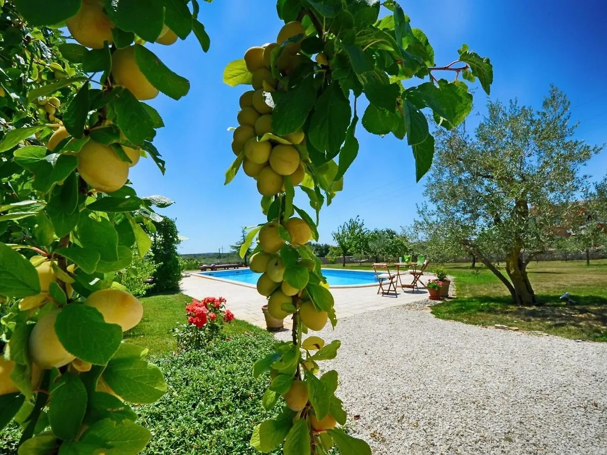 Villa Benka, Istrian Stone House Tinjan